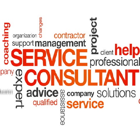 Consulting service - equipment rental